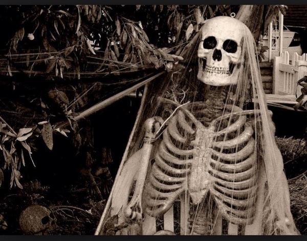 ada_bball_bench's tweet photo. Sitting in the corner open waiting like... http://t.co/rXPohWeAt1