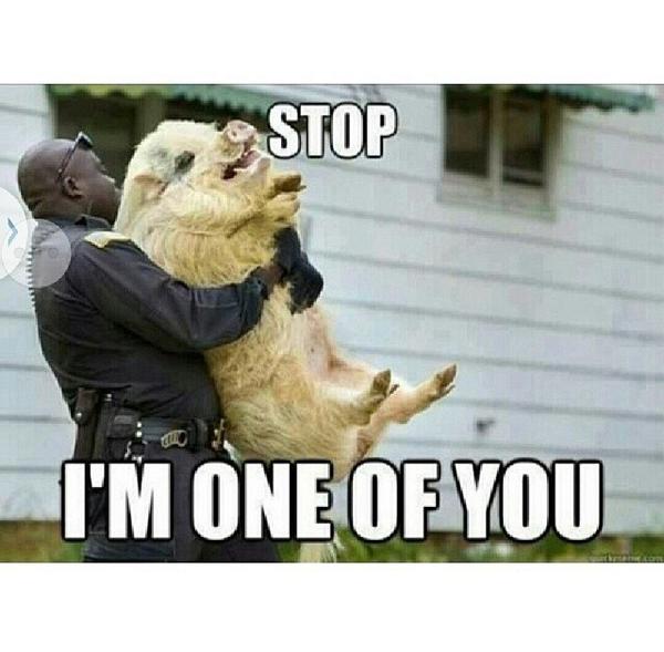 GuyyCodee's tweet image. 