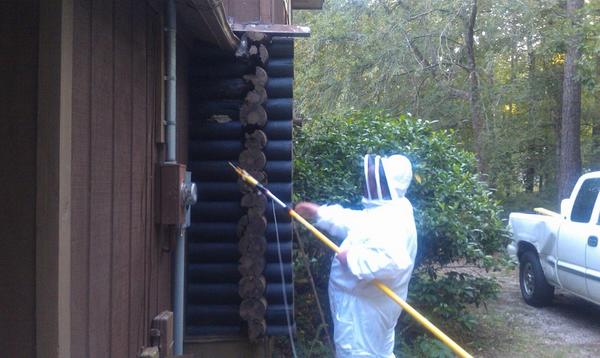 bugpro007's tweet image. 