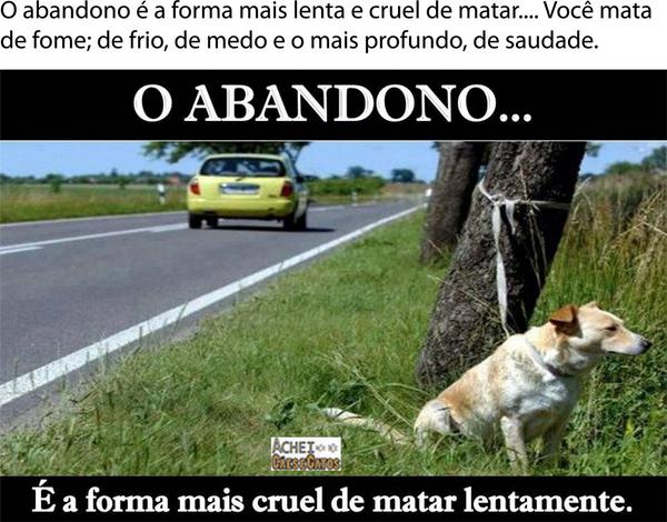 AcheiC's tweet image. #Abandono #Animal é a forma mais cruel de matar lentamente.