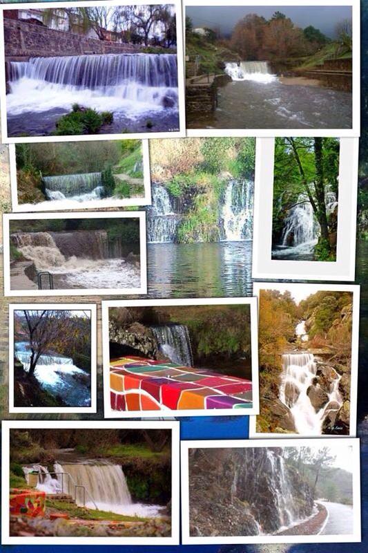 Nacho Trevejo S Gata tweet media