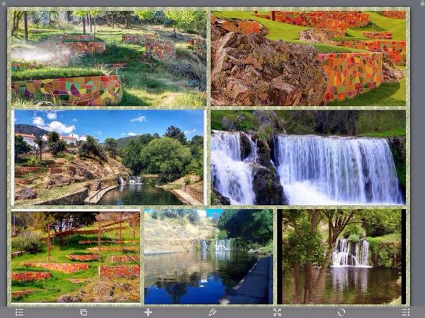 Nacho Trevejo S Gata tweet media