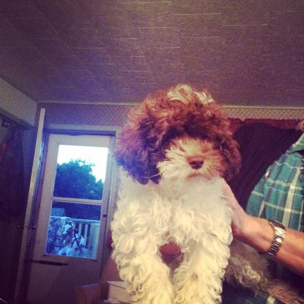 isabelle_hooker's tweet image. He&apos;s sexy and he know it ahh girl look at that body