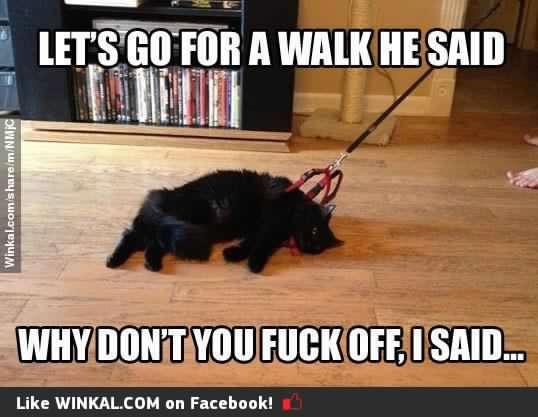 winkal.com/share/m/NMjC?c…