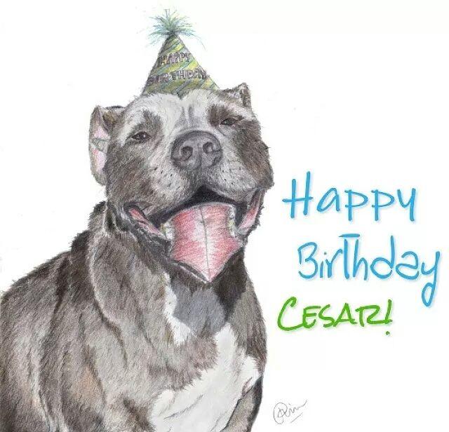  subsequently birthday happy for you cesar millan.            