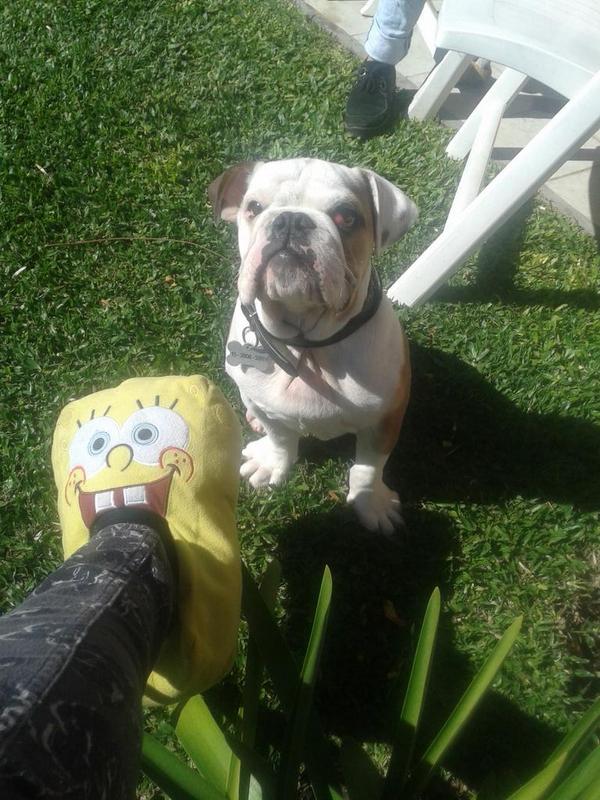 Lucila_Ch's tweet photo. Dia de paro con Ramon http://t.co/AJswo7KKWi