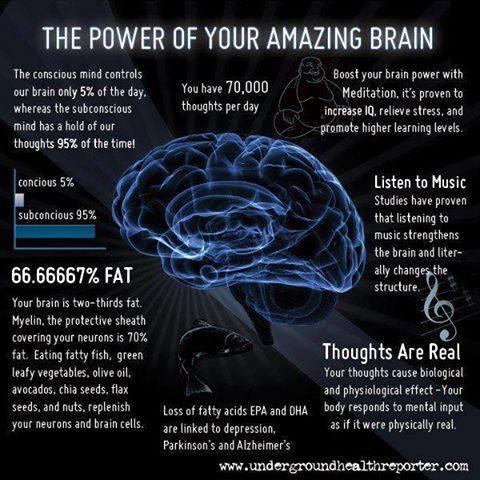 InfoBIM's tweet photo. Alimento para el Pensamiento. Food for thought @NeuroscienceNew @neuroinfluence @Brain_Facts_org @MneurocienUMH http://t.co/KEAQ6BHt2Z