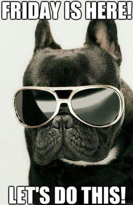 KatTotal's tweet image. Been working hard all week?