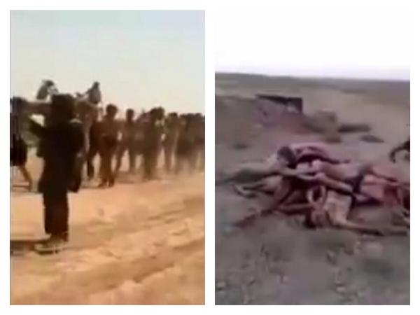 JihadistJoe's tweet photo. 1,000+ Muslims massacred, but there's no need for outraged as Muslims killed them not Jews...

http://t.co/RKovTIWdVb http://t.co/9s8V8S5DrD