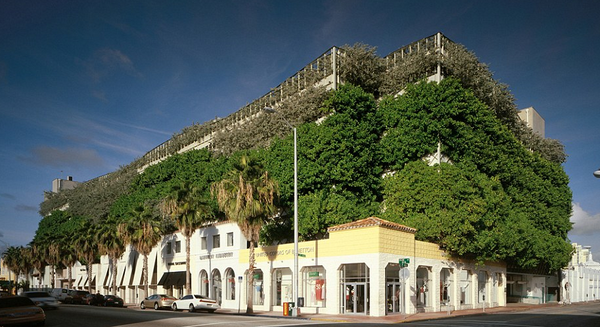 JustPark's tweet photo. A real live (literally) car park in Miami. It's so nice here, you wouldn't ever want to leaf. http://t.co/xapqhBTZWe