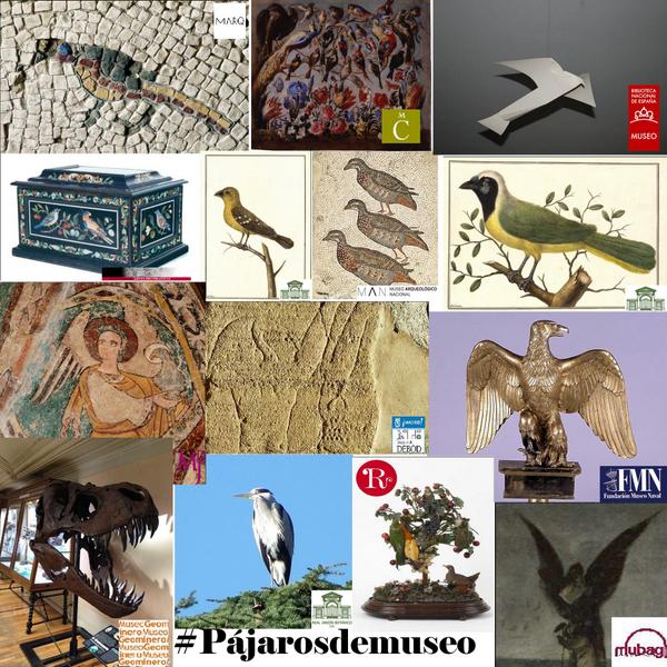 BNE_E2's tweet photo. ¡Gracias a todos por vuestra participación en #Pájarosdemuseo! @marqalicante @MuseoCerralbo @BNE_museo @MNAD_Madrid http://t.co/x3TtEJcmeG