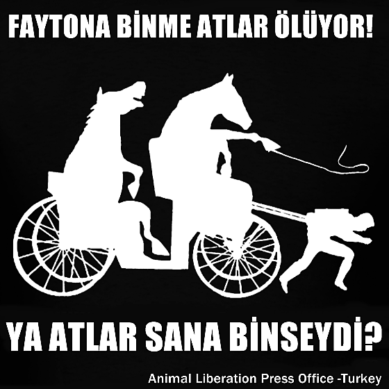 FAYTONA BİNME ATLAR ÖLÜYOR !
facebook.com/events/1483629…