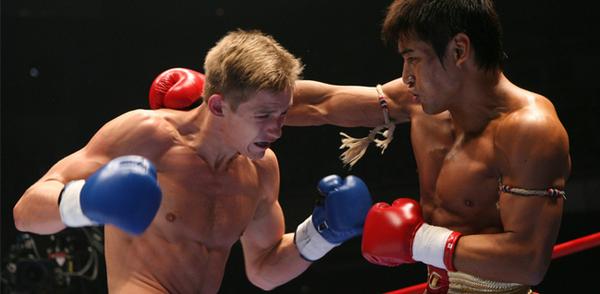 Fight24.pl tweet media