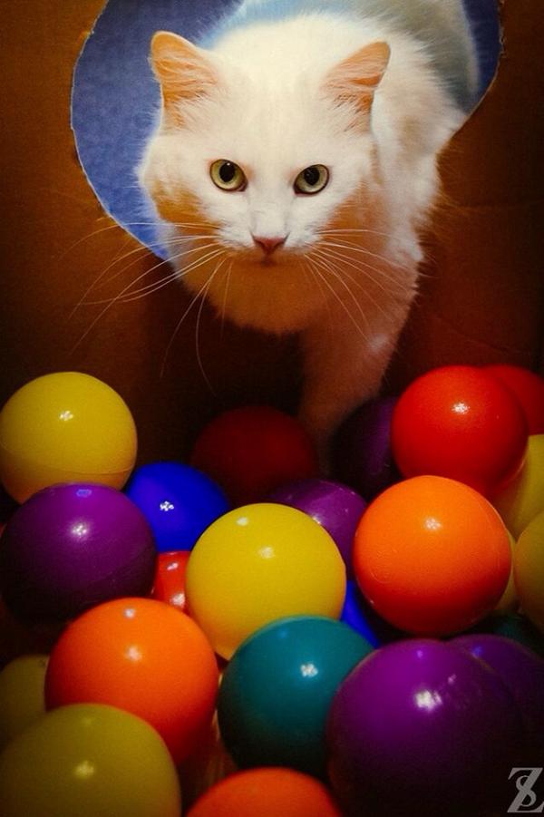 Elverojaguar's tweet photo. http://t.co/8L6RO3BkYr