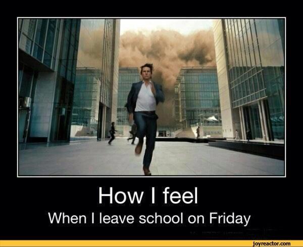 Yearbees tweet picture