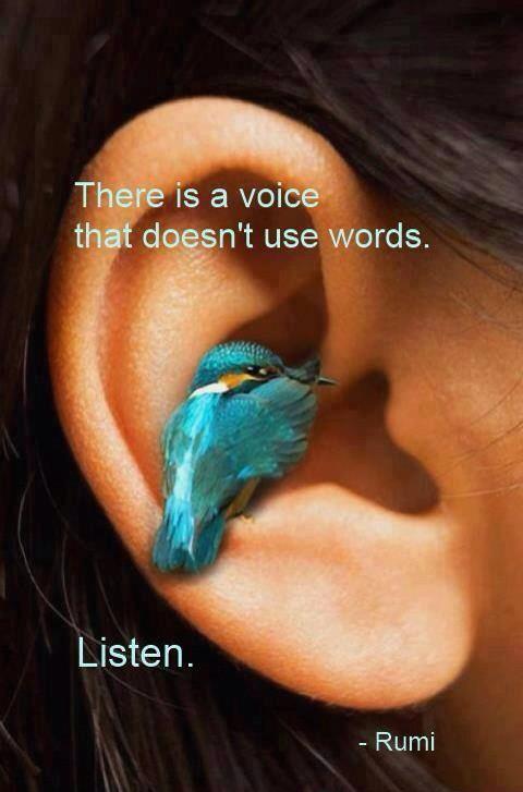 mfaraizag's tweet photo. http://t.co/7N2qHwOFTN