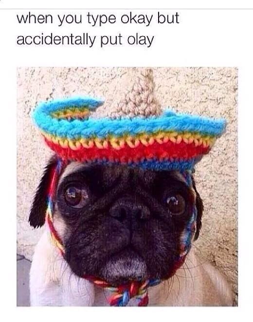 FrancescaaSilva's tweet photo. HAHAHHA this is so cute but true 😂❤️ http://t.co/K7ngt4aYth