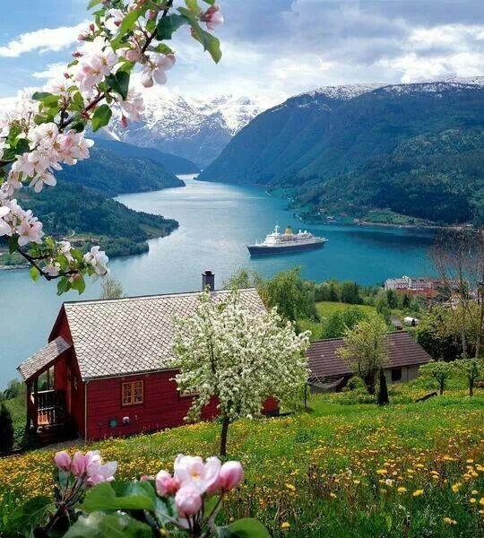 _Paisajes_'s tweet photo. Noruega y sus matices http://t.co/Pxq1M4lGno