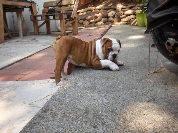 manisha_sudhir's tweet image. MY ANACONDA DON&apos;T @NICKIMINAJ #anaconda #BUNsHUN