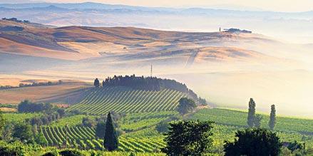 TelegraphTravel's tweet photo. Sunday Blues? Wash them by booking your place on ultimate wine tour of Tuscany @PlanetVictoria http://t.co/CwJBz8oEsp http://t.co/yA5z06YD9w