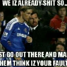 sylvester_chad's tweet image. 