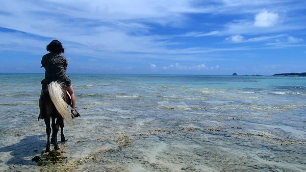 【石垣島】白い砂浜で体験するホースライディング naminma.com 馬の背に乗って見る地上2mの景色は格別☆初心者・小学生以下でもOK　#石垣島 #ホースライディング #乗馬 #離島 #沖縄 #八重山