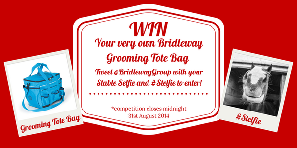 Spending the weekend with your horse? Take a #stelfie and you could #WIN a grooming bag!