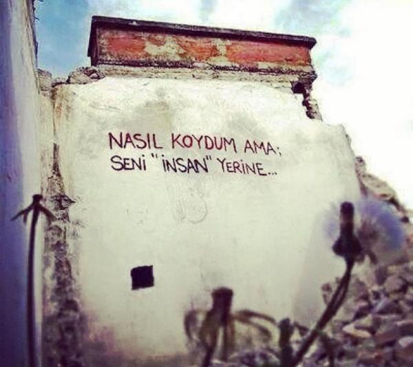 Nasıl koydum ama ...