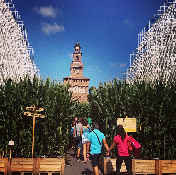 ExpoGate's tweet photo. Non l'hai ancora visto? Hai solo due giorni prima che le pannocchie di #QUANTOMAIS in #ExpoGate facciano il trasloco http://t.co/IlMcWG02MD