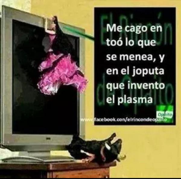 87gt's tweet photo. Esta imagen se la dedico a mi amiga @fatima_elcerro xel jartón de reir q nos pegamos esa mañana...#vaportigitana!! http://t.co/ZWIVnytYsx