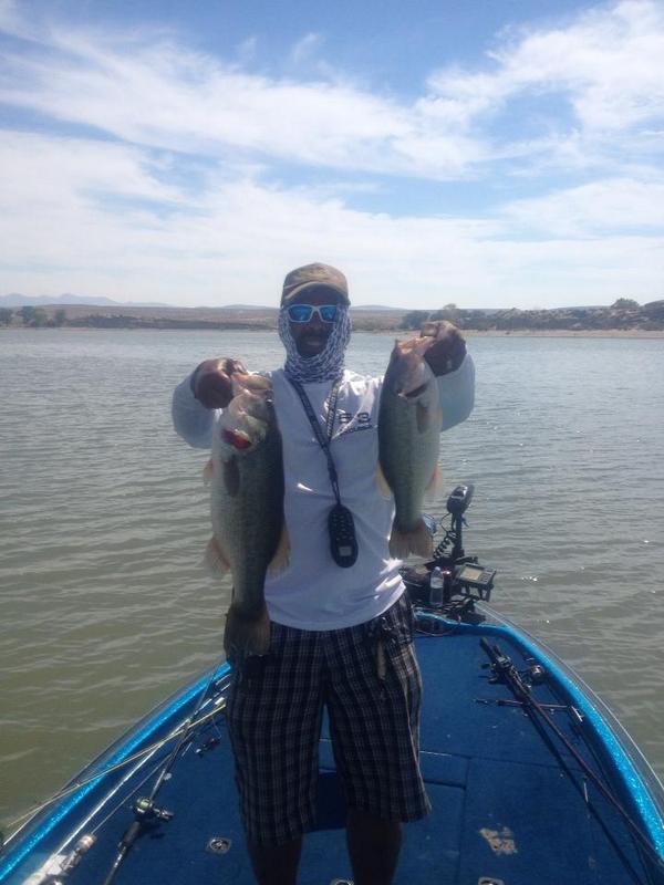 profisherBCCB tweet picture