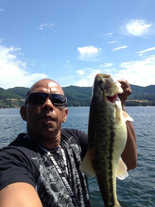 profisherBCCB tweet picture