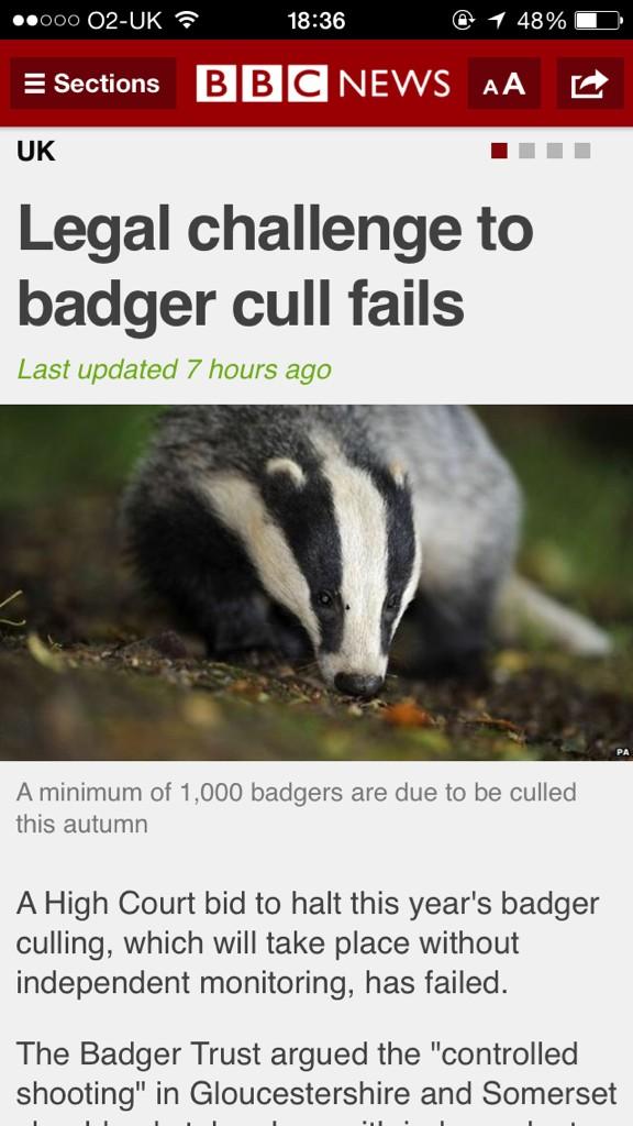 merchant_hse's tweet image. Take that, Badger! #FoxesRule