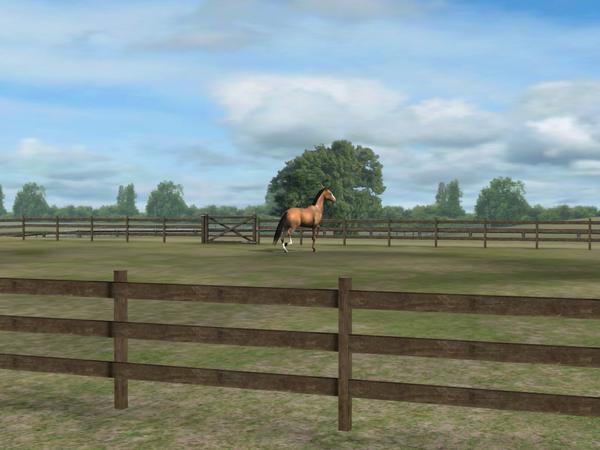 MeryRCS's tweet photo. Mira mi foto! Add me, MightyLaker108. #MyHorse ññdñjñlgk cc,dlpclp http://t.co/22pMpvFNcz http://t.co/Slrnfd4rr3