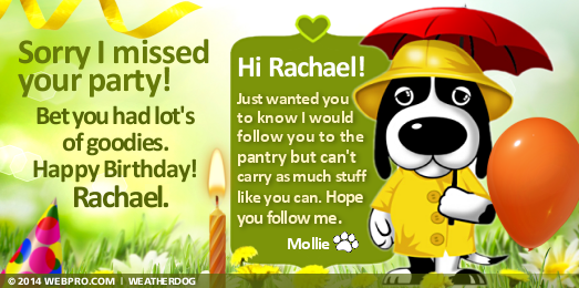 Happy Birthday Rachael Ray. Sorry I missed your party! 