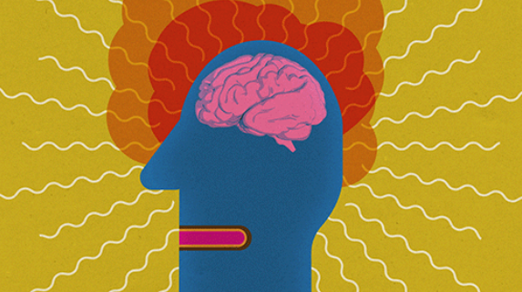 5 fun facts about your brain (illustrated by @TED_Ed gifs): on.ted.com/p04cR