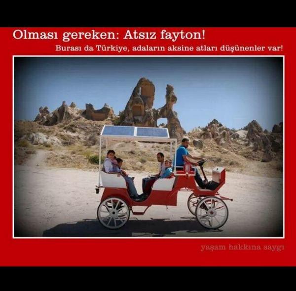 <a href="/hayvanlar_icin/">Hayvan Severiz</a>