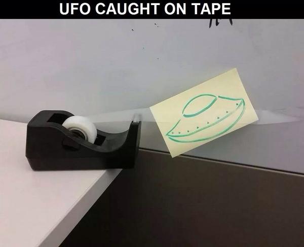 Amy Lang (@amy28964) on Twitter photo 