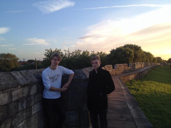 The Article tweet media