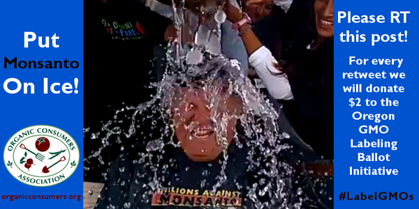 OrganicConsumer's tweet image. SHARE and we will donate $2 (up to $200,000) to the @Oregon #RightToKnow campaign! ow.ly/AN9Cu #LabelGMOs