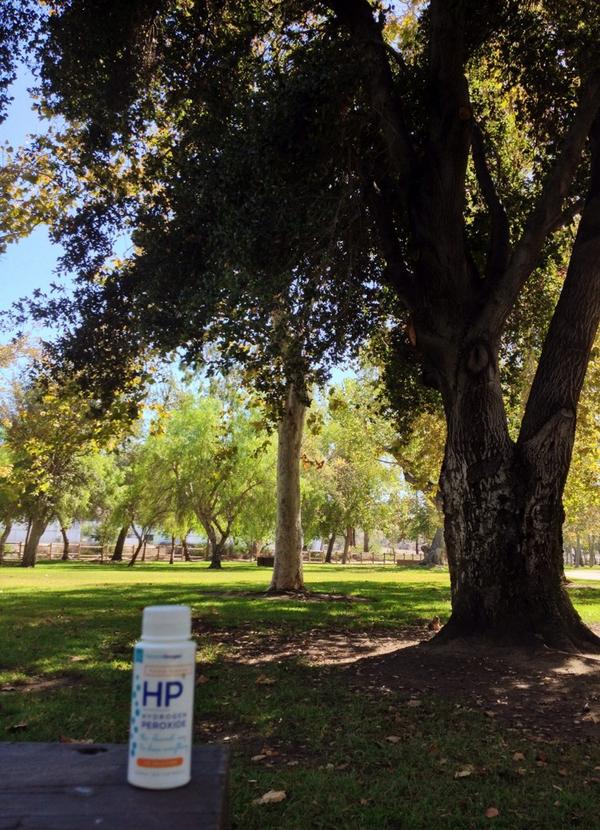 EssentialOxygen's tweet image. HP max relaxin&apos; on a beautiful Friday afternoon. Have a great weekend, #Oxygenators!