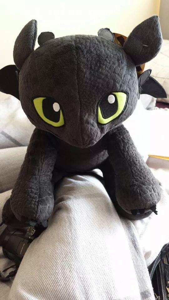 Mmm_microbes's tweet photo. Love me some toothless x #httydplay http://t.co/Pb6wnxUuqq