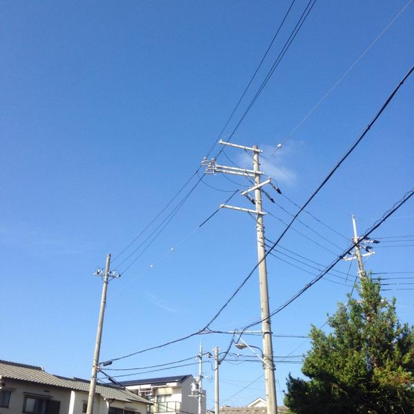 mana1788's tweet photo. チャリを3度目ぱくられ、
また徒歩出勤🚶
鍵しても、とられるー笑
毎朝歩くのも、気分いいね http://t.co/oEHVzaEyi1