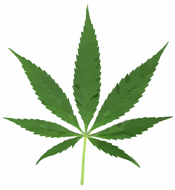 TableRockConslt's tweet photo. Latest @TableRockConslt article  - A medical marijuana card does not provide a free pass! http://t.co/itS1vIX4B5 http://t.co/y1Mqiqs25R