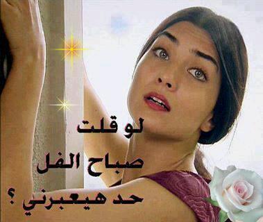 سامي النهاري ابو نصر (@sammianhari2014) on Twitter photo 