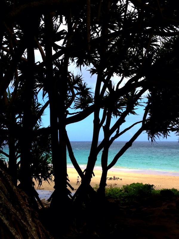 MKO1019's tweet photo. @StRegisKauai #DefineAloha http://t.co/jGxrZpVVLg