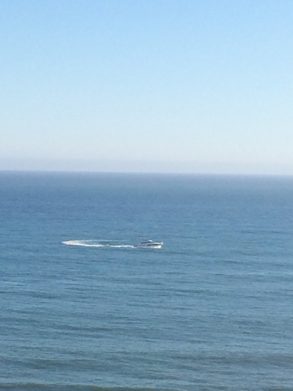 MariaBruggere's tweet image. Ask and you shall receive...and look, there's my yacht! Just in time for happy hour. Thanks guys. 👌