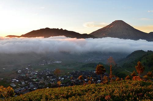 KONSEP_ID's tweet photo. Negeri di atas awan - Dieng, Jawa Tengah http://t.co/f4yNkKnqpE