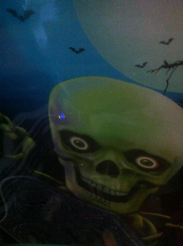 nastynixon's tweet photo. Cold bitch reptilian http://t.co/g0X2ulCoN0