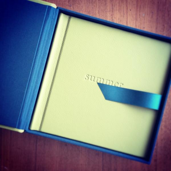IRISbook's tweet image. A sneak peak at some of the very exciting things launching soon! #flushmounts #leatherboxes #newcolours #irisbook